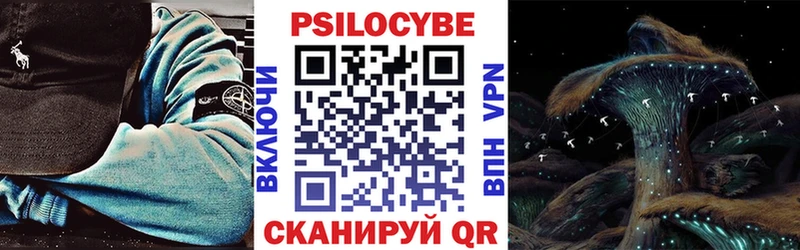 Псилоцибиновые грибы MAGIC MUSHROOMS  купить   мега tor  Магас 